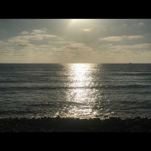 Meet your Posher, Celeste